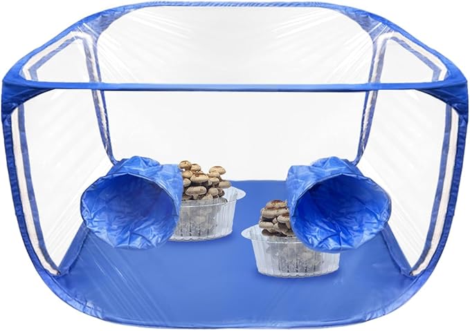 Still Air Box, Mushroom Grow Kit, Mushroom Grow Bag, Portable Mushroom Grow Tent, Mushroom Growing or Fungiology Supplies for Home Science (Blue)