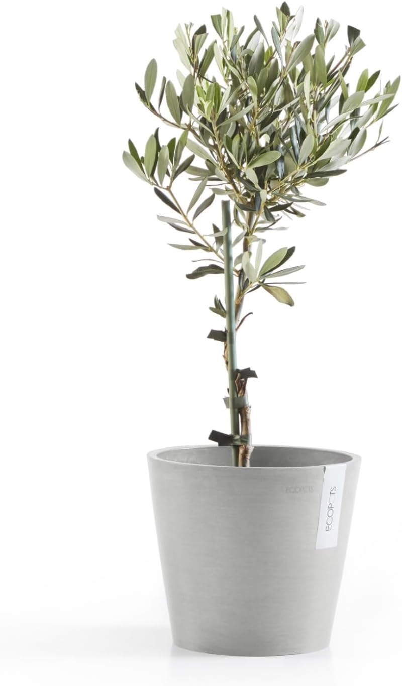 Ecopots Amsterdam Durable Modern Round Indoor/Outdoor Recycled-Based Composite Flower Pot Planter, White Grey, 8"