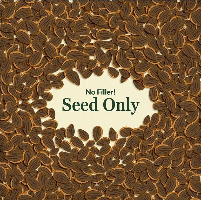 Ferry-Morse Sunsational Sunflower Bulk Flower Seeds, 1lb