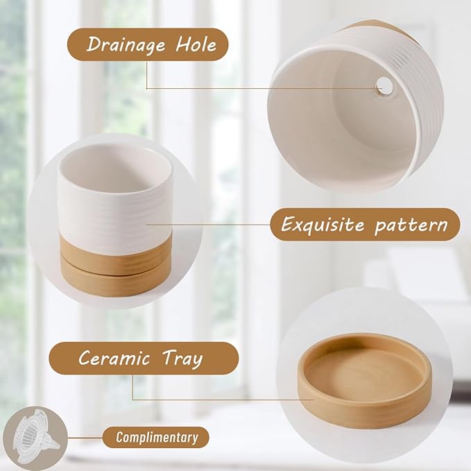 Hasense 4.6 Inch Plant Pots, Ceramic Flower Pots for Indoor Plants, Small White Planter with Drainage Hole and Saucer, Cute Mini Windowsill Tabletop Decor, Set of 4