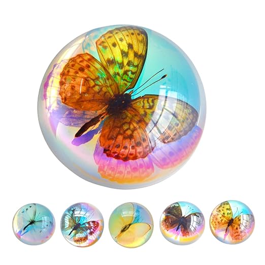 Real Butterfly Specimens, Resin Insect Specimens, Educational Bugs Specimen Set for Kids, Preschool Education, Biology, Insect Lovers (Butterfly Specimens)