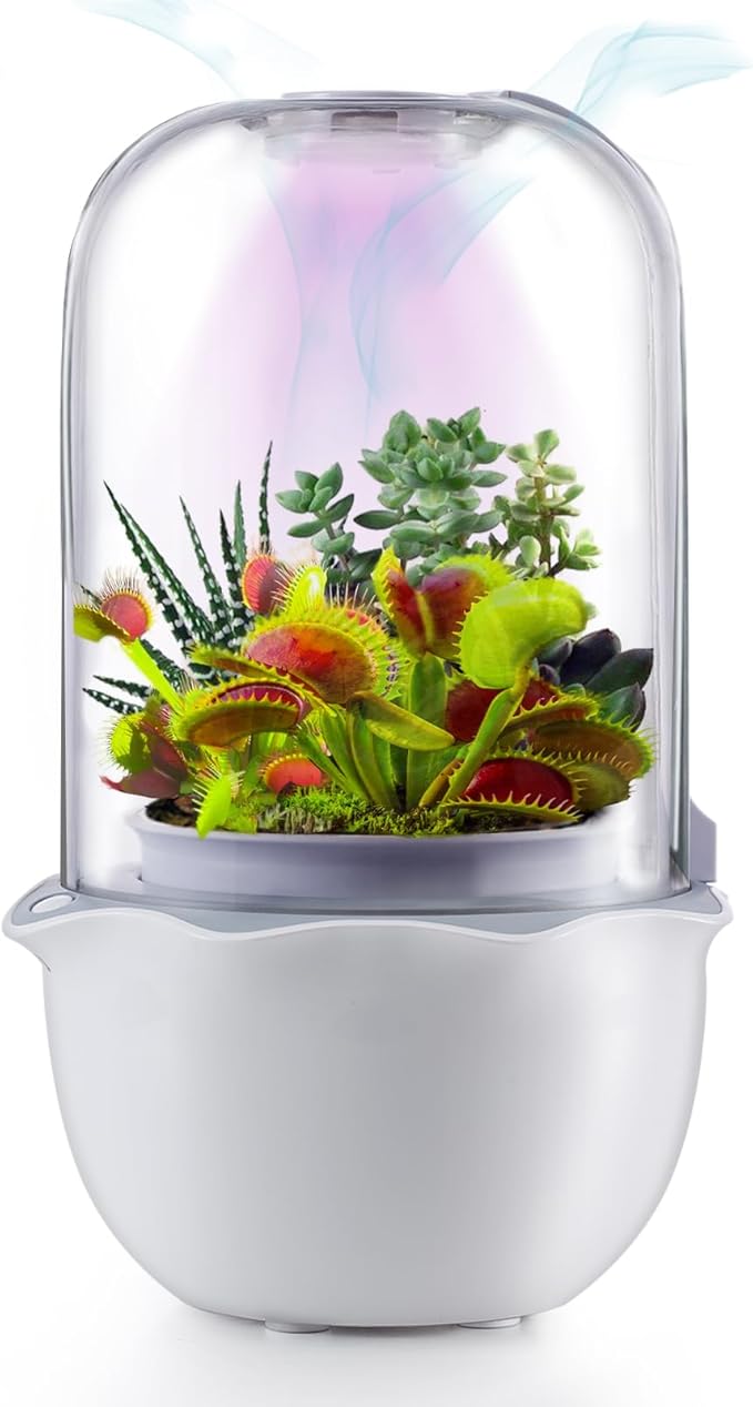 Smart Venus Fly Trap Terrarium Pot with Timer&Fan,Succulent Planter with Grow Light,Indoor Plant Terrarium Kit for Carnivorous Plants,Sundew Moss,Cactus, for Dad (No Plant)