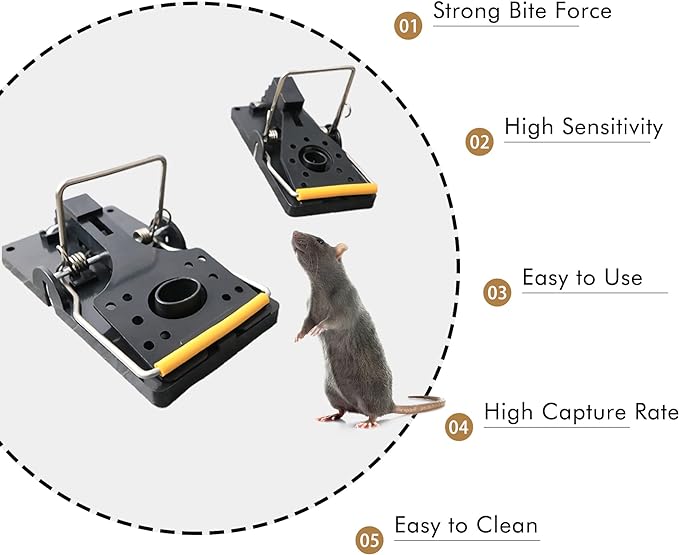Grandpa Gus's Pest Control Large Snap Traps for Mice/Rats (6 Pack) Bundle with 1 Pack Rodent Lure, Food-Grade Bait, 0.5 oz