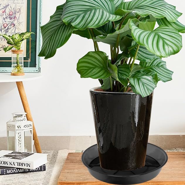 Plant Saucer 10 Inch 2 Pack, Plant Trays for Pots Heavy Duty Round Plastic Plant Saucers for Indoors Outdoors, Flower Pot Drip Trays, Plant Water Catcher Tray,Clear Black Flower Plant Pot Saucer