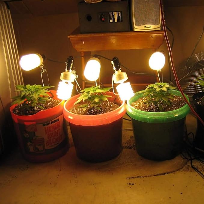 Simple Deluxe HIWKLTCLAMPSOCKETX2 2-Pack 18/2-Gauge Brooder and Heat Clamp Lamp with Bakelite Socket 150 Watt 6 Feet Cord, 2 Count (Pack of 1), Black