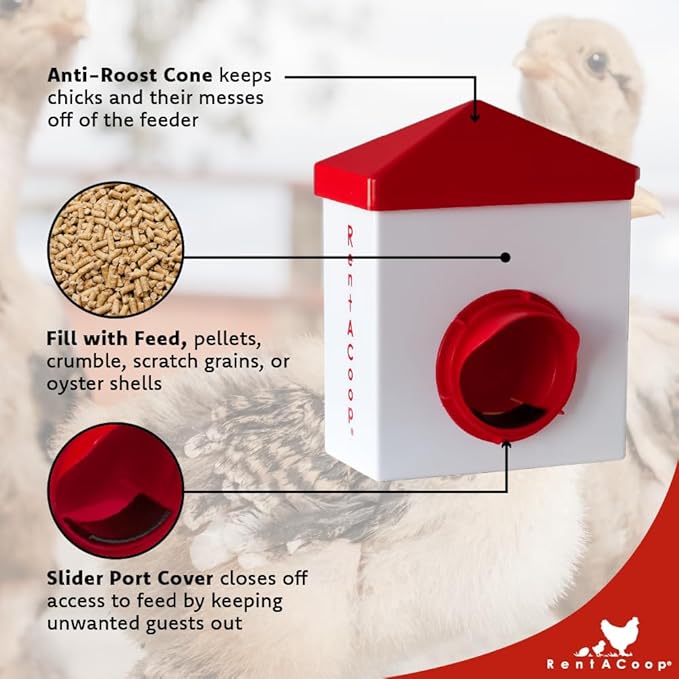 RentACoop Chick2Chicken 2.5lb BPA-Free Single-Port Feeder - Includes Anti-Roost Lid, Slider Port Cover, and Wire Bracket - Suitable for Quail, Pigeons, Doves, Chicks, and Adult Chickens