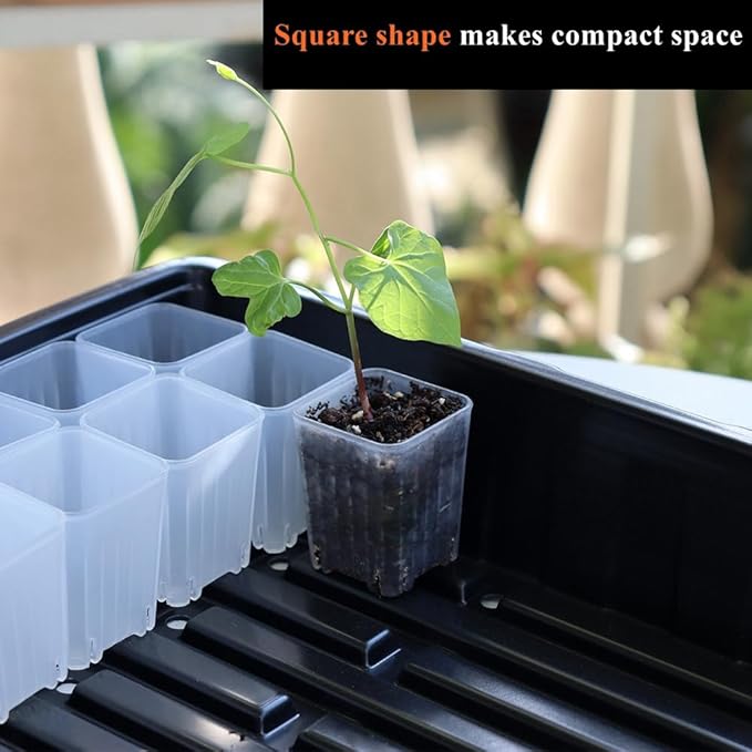BangQiao 300 Pack 1.55 Inch Tiny Clear Plastic Square Nursery and Seedling Pot, Mini Transplant Seed Starter Planter with Drain Hole for Germination, Herb, Succulent