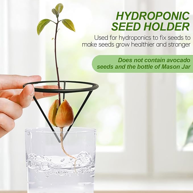 Avocado Seeds - Avocado Seed Starter Vase Rack for Mason Jar of Wide-Mouth 4Pcs, Avocado Seed Holder Triangular Metal Bracket for Family Friends and Gardening Enthusiasts (4 Pcs Vase Rack)
