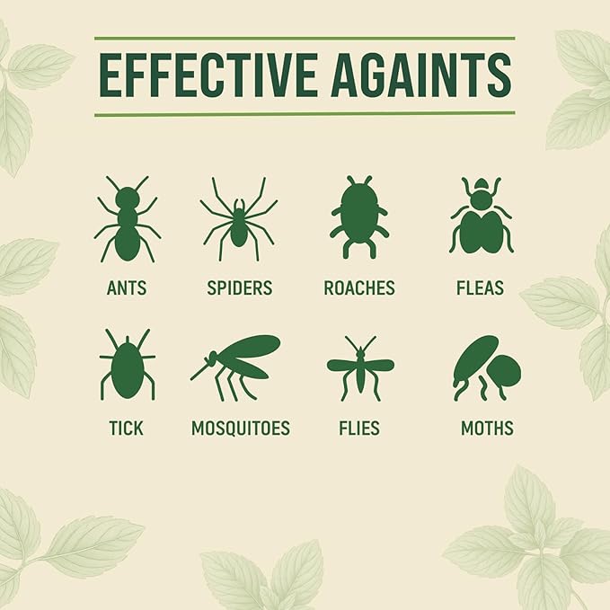 Peppermint Oil Spray for Bugs | Insect Repellent for Indoor & Outdoor Pest Control | Bug, Spider, Rodent, Ant Killer | Natural Plant-Based Pet Friendly Bug Repellent | Lilly's Naturals, 16 oz