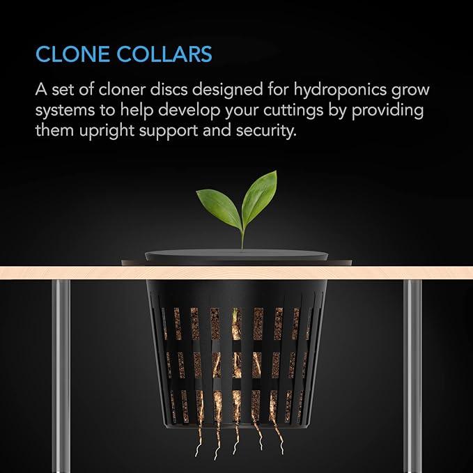 AC Infinity Clone Collar 4-Inch, Cloner Inserts with 8-Spoke Design, 50-Pack for Use with Net Cups in Hydroponics Growing Systems, Aeroponics, Cloning Machines, and Home Gardening
