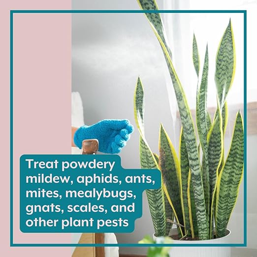 Instant Plant Protection (4Tablets) Self-Dissolving Tablets | Peppermint Spray for Protecting Indoor and Houseplants Against Spider Mites, Insects, and Disease