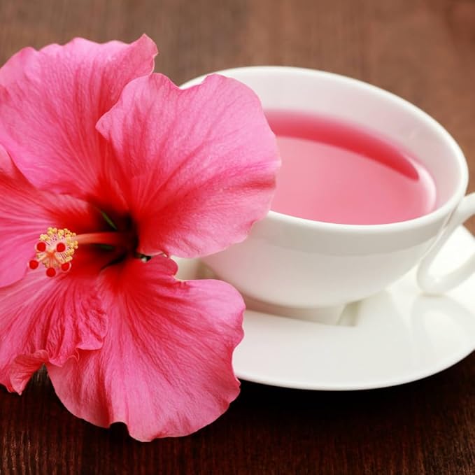 Pink Hibiscus. rosa-sinensis. Live Plant - Tropical Blooming Hibiscus, Pretty Flowers, Used in Tea and Juice (4 Pink Hibiscus sacs)