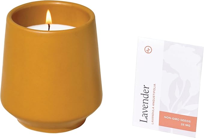 Modern Sprout Rooted Candle (Pack of 3) - 2 in 1 Scented Candles with Seeds That Grows into Plants - 6 oz Soy Candle with 42 hr Burn time in Matte Glaze Ceramic Vessel - Rosemary, Thyme, & Lavender