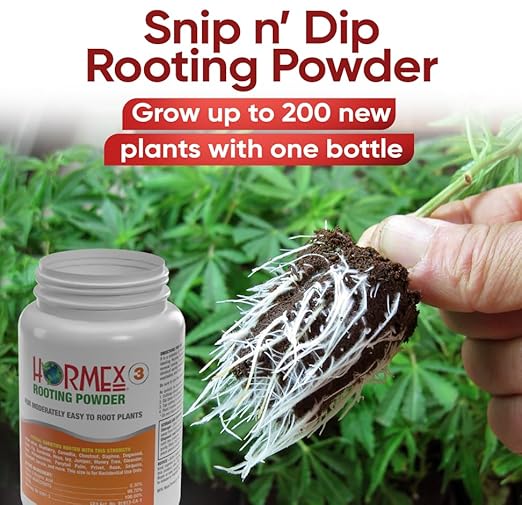 Hormex Rooting Powder #3 (0.30 IBA) - Rooting Hormone for Common Home & Garden Cuttings - Root Stimulator for Cloning - Strong Roots for Maximum Plant Propagation Success