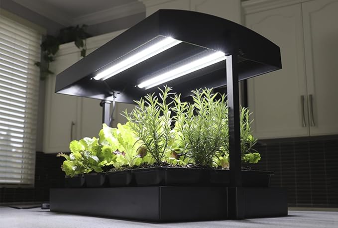 1600200 Grow Light Garden, Black
