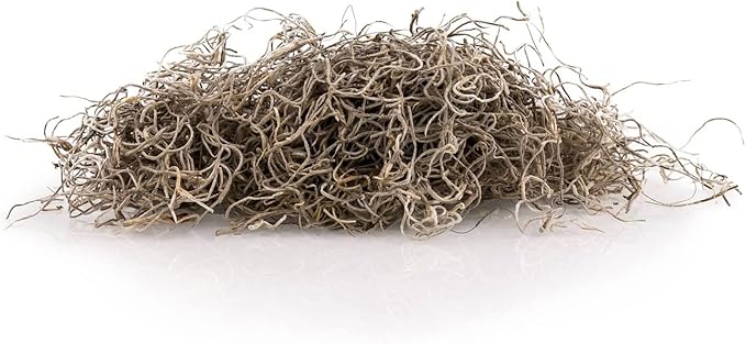 Premium Natural Spanish Moss | Natural Preserved - Great Ground Cover - Filler for Potted Plants - by GARDENERA - 4 Quart Bag