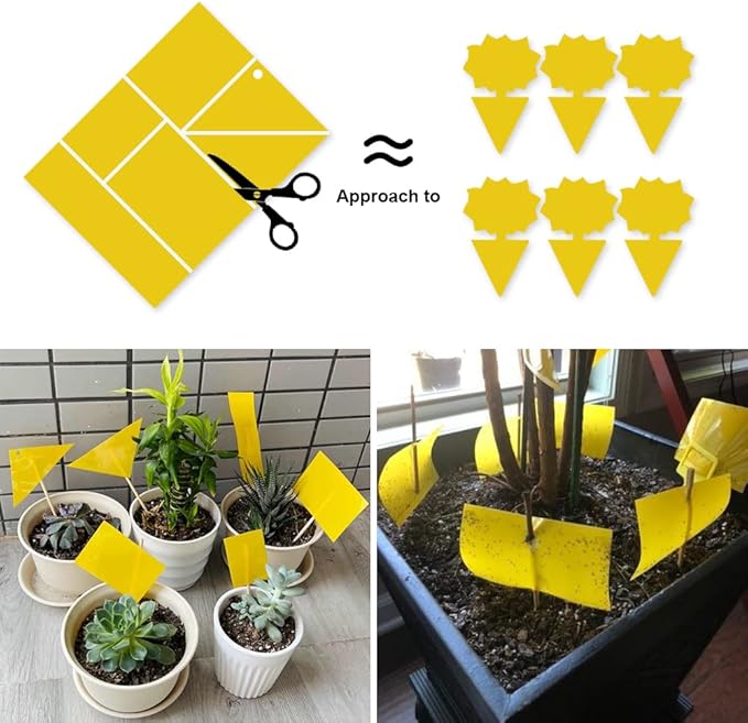 Kensizer 20-Pack Fruit Fly Trap, Yellow Sticky Gnat Traps Killer for Indoor/Outdoor Flying Plant Insect Like Fungus Gnats, Whiteflies, Aphids, Leaf Miners - 6x8 in, Twist Ties Included