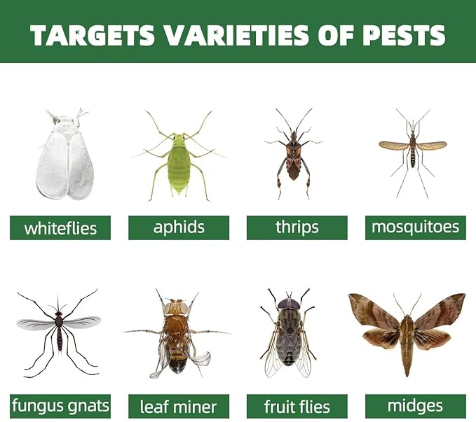 Flower-Shaped Yellow Sticky Traps, 36 Pack, Creative Sturdy Structure, No Touching Glue Or Bugs Design, Very Easy To Use, Gnat, Fruit Fly & Insect Killer, Kid & Pet Safe, For Plants, Gardens, Kitchens