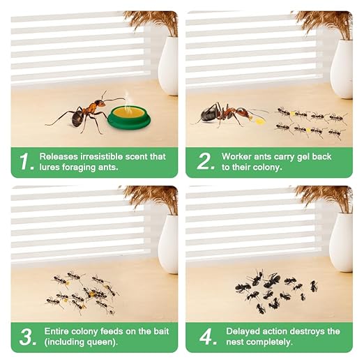 48 Pack Ant Killer Gel Bait, Long Lasting Indoor & Outdoor Ants Bait for Effective Ant Control, Safe & Easy to Use Pest Control for All Common Household Ants, Mess-Free Gel Stations