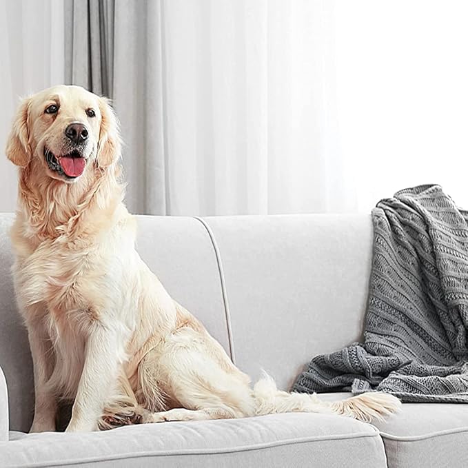 Enforcer Flea Spray for Homes - 1 Galllon (Case of 4) - EFSH128 - Prevents Infestation for up to 7 Months from Hatching Fleas