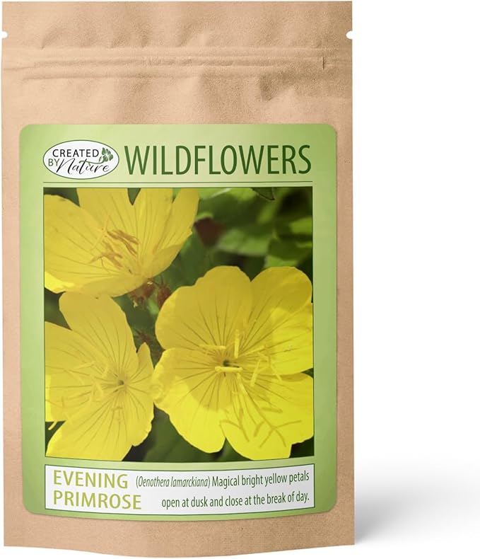Created By Nature Evening Primrose Seeds, 44,000 Yellow Wildflower Seeds