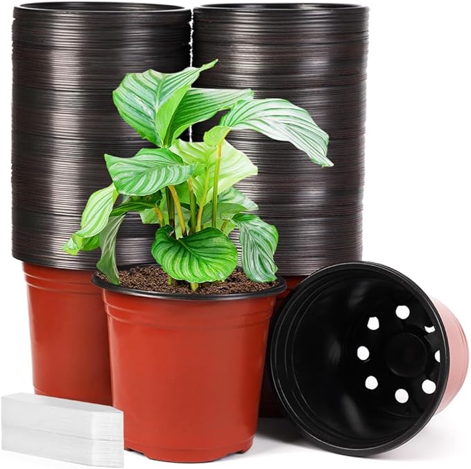 JERIA 200 Pack 6 Inch Plastic Nursery Pots Comewith Drainage Holes, Seedling Flower Plant Container and Seed Starting Pots with 200 Pcs Labels