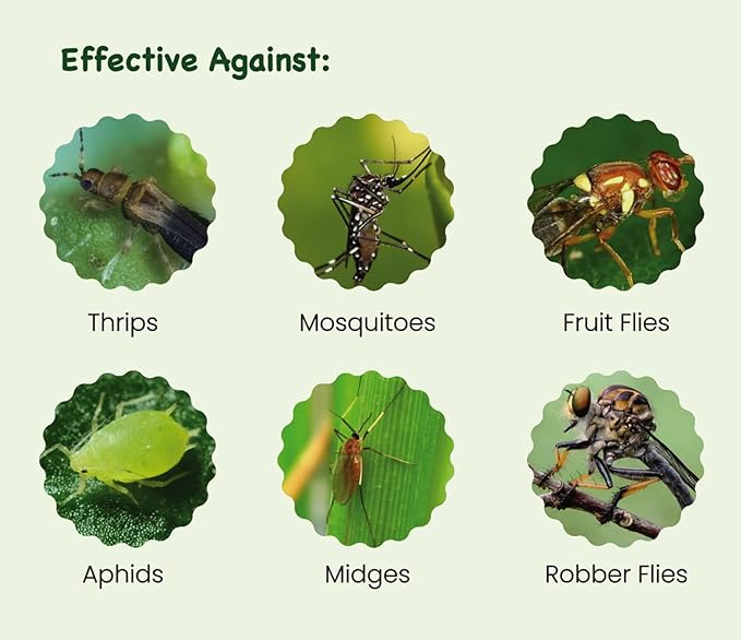 Sticky Insect Traps 40 Pcs - Gnats Fruit Fly Traps for Indoors House - Yellow Double-Sided Sticky Insect Catchers Fungus, Fruit Flies, Whiteflies, Aphids, Leaf Miners