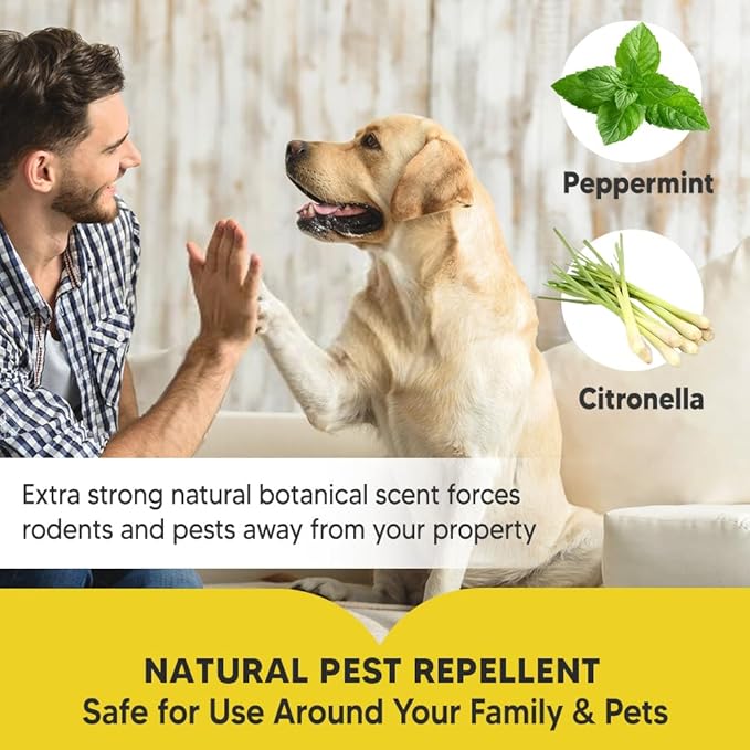 Pest Control, Mice Repellent Indoor, Rat Repellent, Mouse Repellent Outdoor, Long-Lasting Rodent Repellent Indoor, Repel Mice, Mouse, Rats, Ants, Roaches, Spiders, Moths & Other Pests-8P