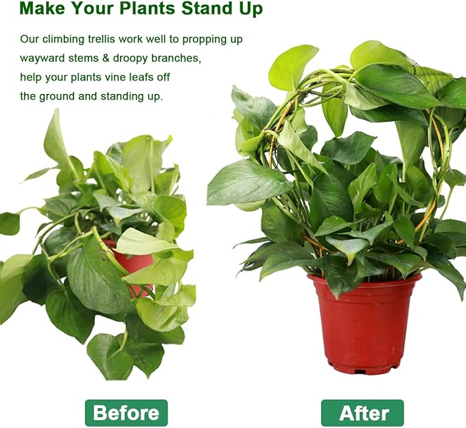 2 Pack Circle Trellis for Climbing Plants Indoor, 15" Gold Small Plant Support Stakes, Flower Houseplant Hoya Support for Potted Plants & Garden Stem Vines