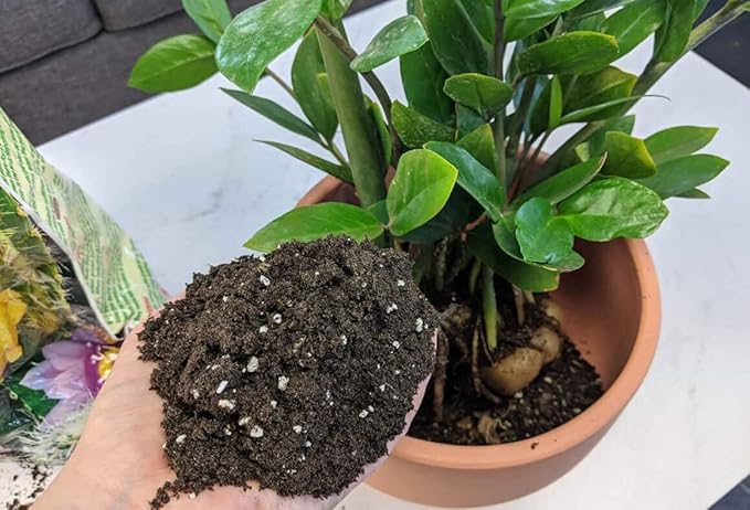 Premium ZZ Plant Superior Growth Soil - Perfect Aeration for Robust Root Development & Plant Health - 4 QUARTS