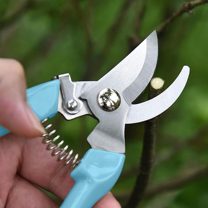 Garden Scissors for Plant, Tip Pruning Shears for Cutting Flowers, Trimming Plants, Bonsai and Fruits Picking (Blue Bypass Blade Pruner)