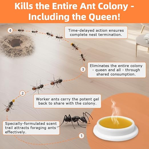 32 PCS Ant Killer Gel Bait Stations, Extra Strengthen Ant Bait Traps, Long-Lasting Effective Pest Gel for Carpenter Ants and Other Common Household Ants, No Mess Easy Use, Safe for Pets and Kids