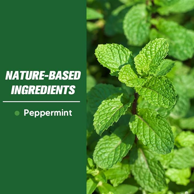 Pest Control, Mouse Repellent Pouches, Rodent Repellent, Mice Repellant Indoor, Peppermint Mice to Repel Spider, Ant, Roach & Mosquito, Rat Repellant Outdoor, Keep Mouse Out of Camper-8P