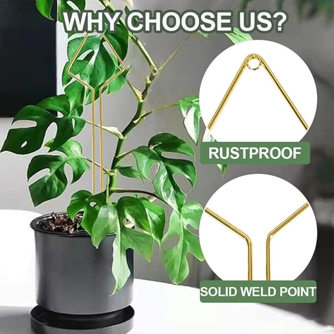 Plant Climbing Support - 4 Pack Small Metal Trellis for Climbing Plants Indoor, 15.7 Inch Indoor Plant Trellis with Different Patterns, Vine Plant Support for Flower Pothos (Gold)