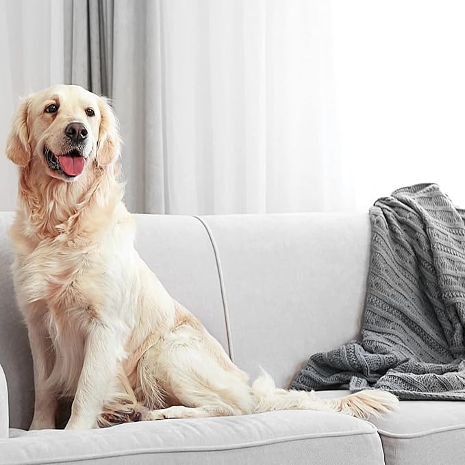 Enforcer BugMax Home Pest Control - EBM128 (Case of 4) - Kills Roaches, Ants, Fleas, Ticks, termites, Carpenter Ants, Brown Recluse Spiders, Black Widows, Carpenter Bees and Bedbugs