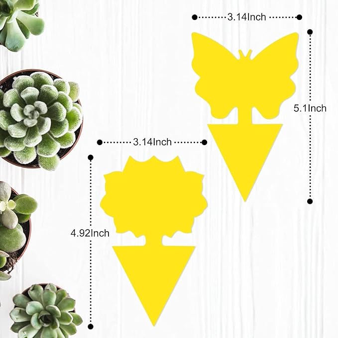 36 Pack Fruit Fly Traps for Indoors, Gnat Traps for House Indoor, Sticky Traps Fungus Gnats Killer for Mosquito and Flying Insects, Bug Pest Insect Catcher Killer for Houseplant