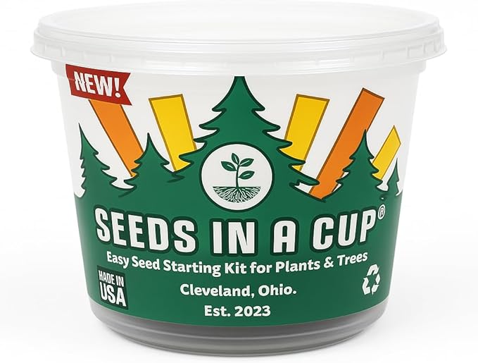 Plant Starter Kit - Money Plant