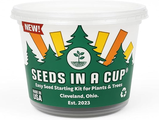 Plant Starter Kit - Money Plant