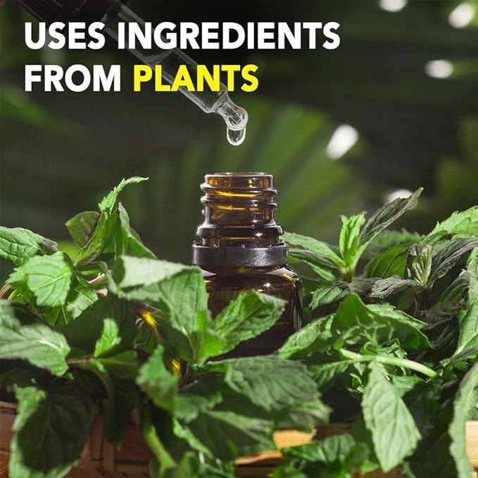 Squirrel Repellent Outdoor, Mint Squirrel & Chipmunk Repellent for Outdoor, Keep Squirrels Out of Garden, Squirrel Repellent Safe for Gardens/Bird Feeders/Attic & Yard, Easy-to-Use - 12p