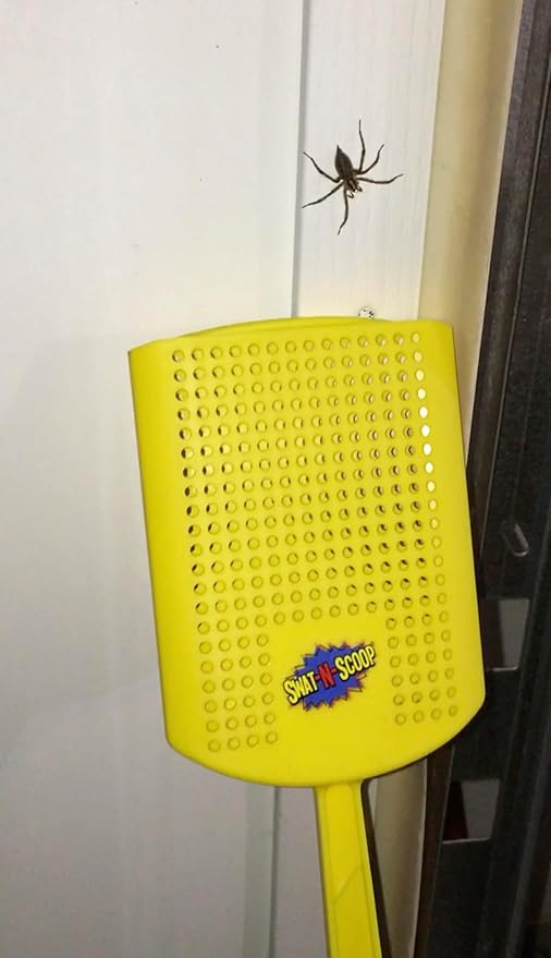 Heavy Duty Fly Swatter and Spider Catcher and Release (1, Yellow). Insect Fly Catchers for Inside Home. House Fly Swatter or Humane Bug Catcher with Built in Insect Scoop.