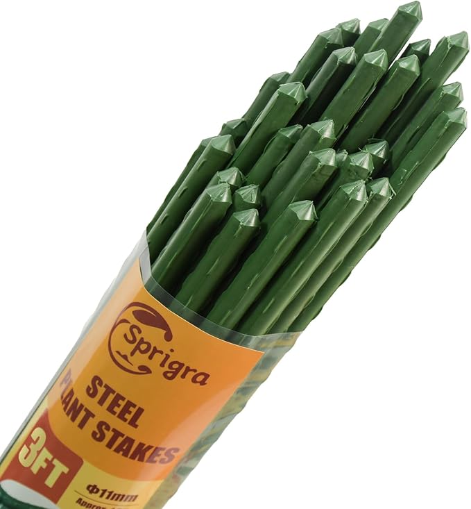Plant Stakes 36 inch, 3ft Steel Garden Stakes 25 Pack, Sturdy Plant Support for Climbing Plants, Tomatoes, Beans, Cucumbers, Peppers, Flowers, Potted, Strengthen and Stem to Grow Better