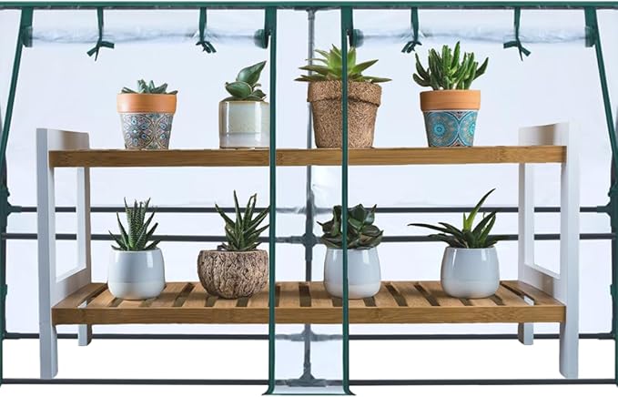 Mini Greenhouse, 6' x 3' x 3' Portable Greenhouse with Zip Door and Roll-up Windows, Indoor Outdoor Plant Gardening Green House, Durable PE Clear Cover Small Hot Houses for Flower, Vegetables