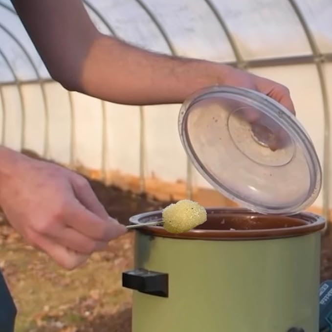 North Spore Organic Red Reishi Outdoor Mushroom Log Growing Kit | Includes 100 ct. Bag of Plug Spawn | Complete Log Starter Kit with Instructions | Handmade in Maine, USA