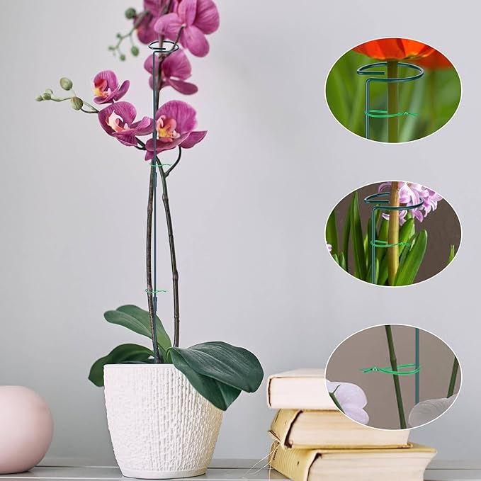 2 Pack (DIY) Plant Support Stakes, Three Sizes (12 or 24 or 36 inch) Plant Support Rings with 20 Pcs Plant Twist Ties, Garden Stake for Indoor Outdoor Plant Flowers, Amaryllis, Tomatoes