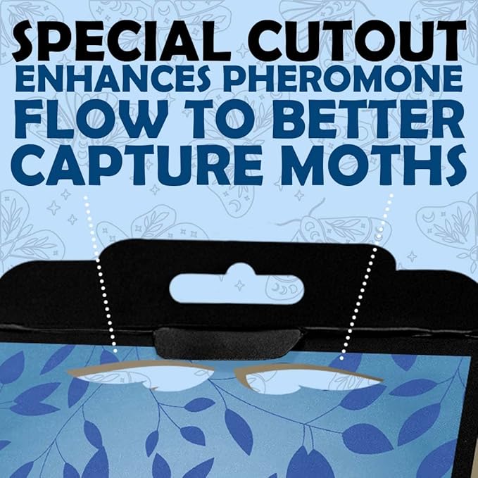 Pantry Moth Traps 6 Pack | New Blue Design | Child and Pet Safe | Premium Attractant