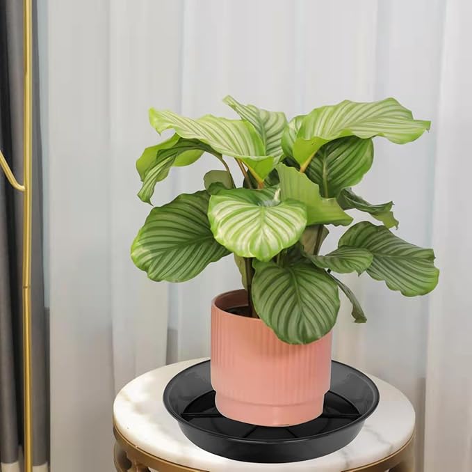 Plant Saucer 10 Inch 2 Pack, Plant Trays for Pots Heavy Duty Round Plastic Plant Saucers for Indoors Outdoors, Flower Pot Drip Trays, Plant Water Catcher Tray,Clear Black Flower Plant Pot Saucer