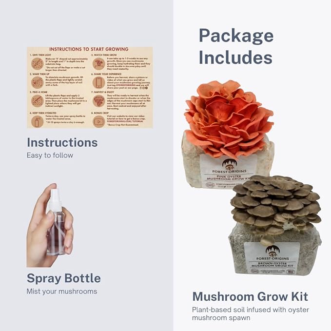 Pink & Brown Oyster Mushroom Grow Kit 2-Pack Variety - Beginner Friendly & Easy to Use, Grows in 10 Days | Handmade in California, USA | Top Gardening Gift, Holiday Gift & Unique Gift