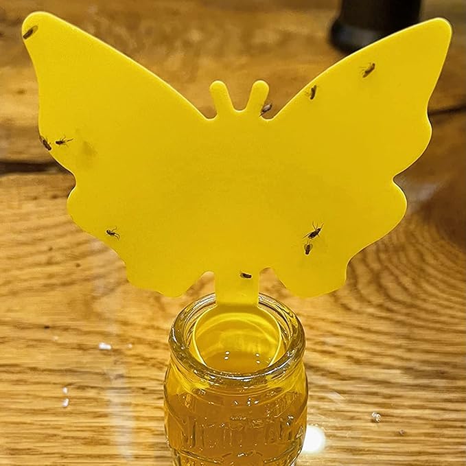 Garsum Fruit Fly Sticky Trap for Indoor and Outdoor, Fungus Gnat Killer for Houseplant,Mosquitos, Flying Insect, White Flies, 120 Pack