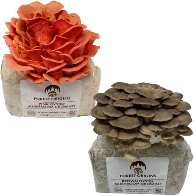 Pink & Brown Oyster Mushroom Grow Kit 2-Pack Variety - Beginner Friendly & Easy to Use, Grows in 10 Days | Handmade in California, USA | Top Gardening Gift, Holiday Gift & Unique Gift