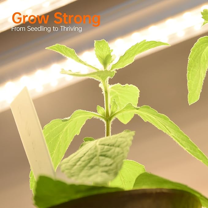 Plant Shelf with Grow Light with Timer, Tall Plant Stand with Adjustable Rack and Wheels, 6 Pack T5 3FT Full Spectrum Grow Lights for Indoor Plants, Seed Starting, Seed Tray, 35.4"x13.8"x70.8"